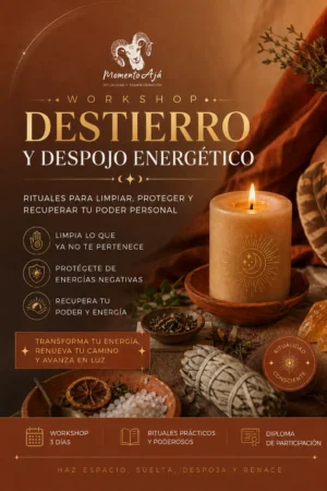 Workshop Destierro y Despojo Energético