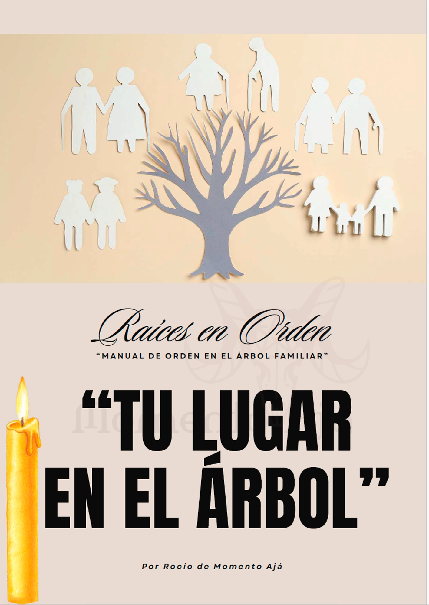 Manual de Orden en el Arbol Familiar portada Momento Ajá