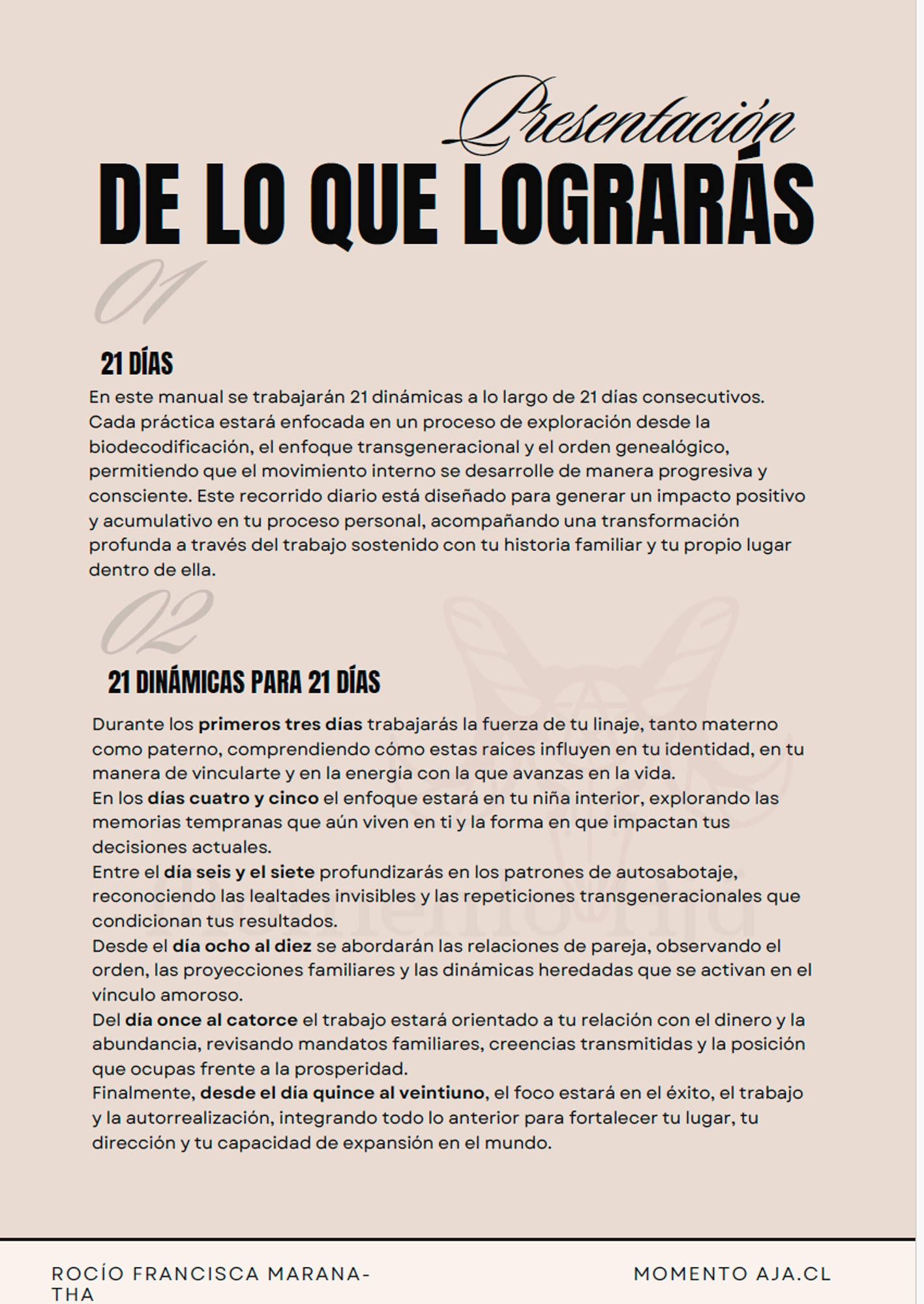 Manual de Orden en el Arbol Familiar presentacion Momento Ajá